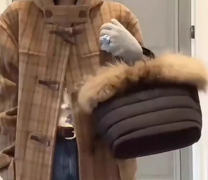 TROUVAILLE東大門㊣代購女士新品休閑職業手拿包腋下包毛絨TROUVAILLE手拿包/腋下包