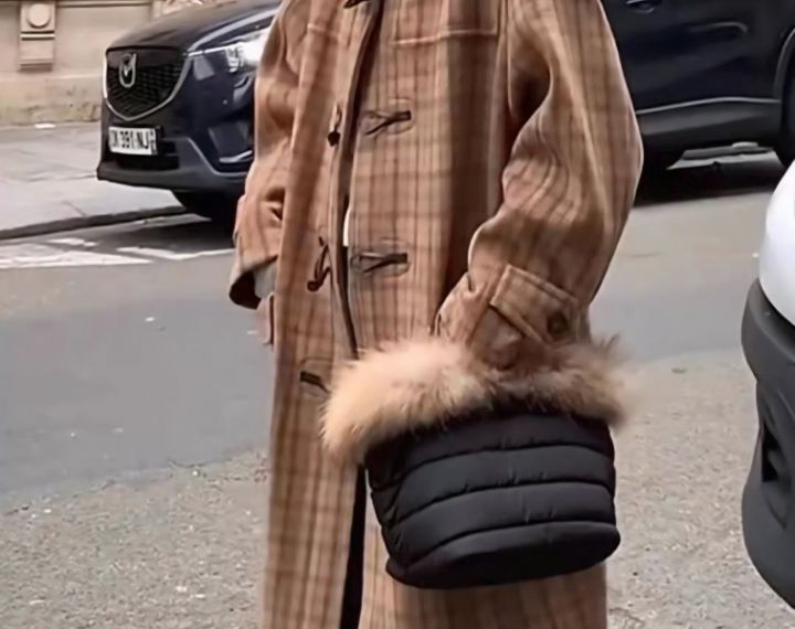 TROUVAILLE東大門㊣代購女士新品休閑職業手拿包腋下包毛絨TROUVAILLE手拿包/腋下包圖色1