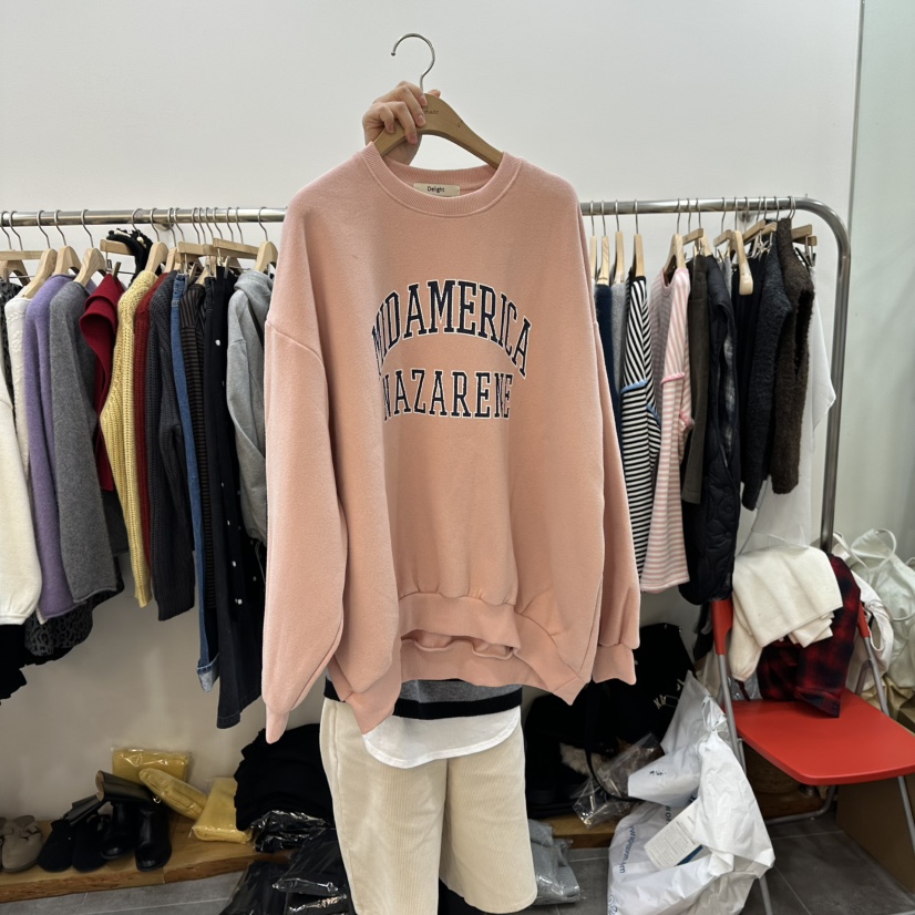 DELIGHT-L東大門㊣實拍女裝新品推薦時尚職業25秋冬衛衣加絨DELIGHT-L衛衣圖色2