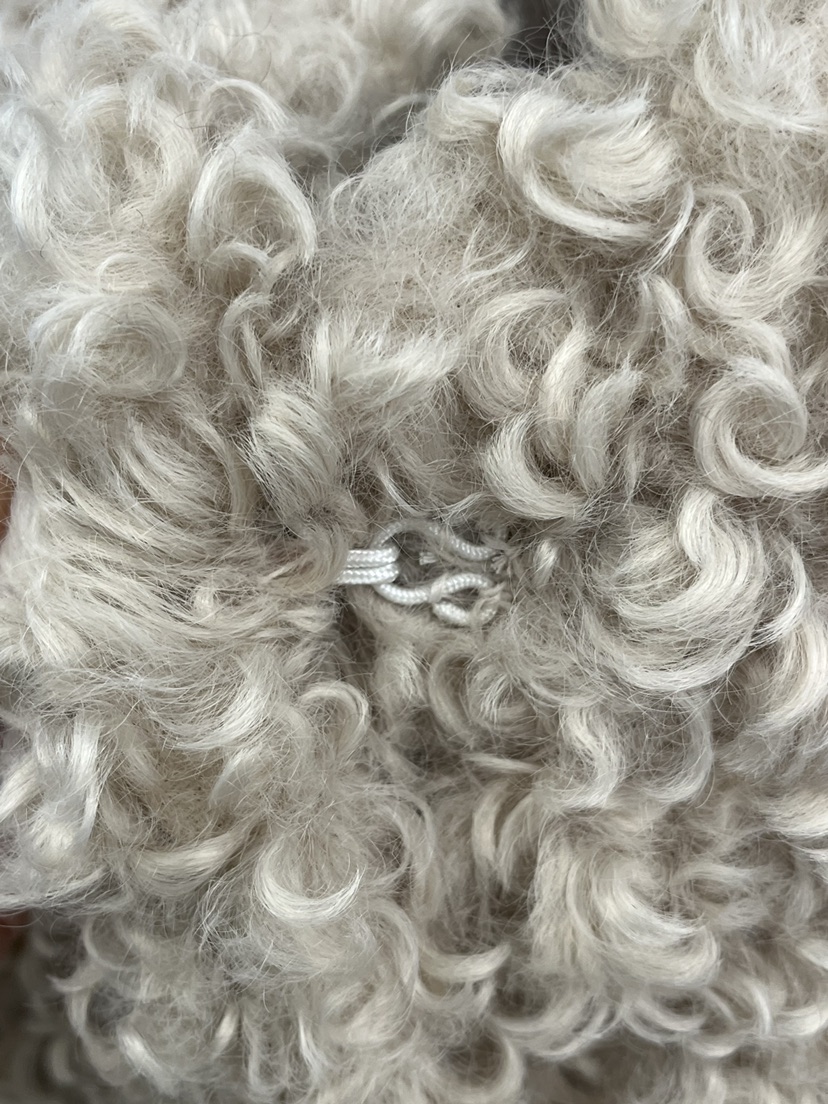 AMUSE SEOUL東大門㊣直郵女裝新品職業休閑人氣25秋冬短款大衣AMUSE SEOUL短款大衣