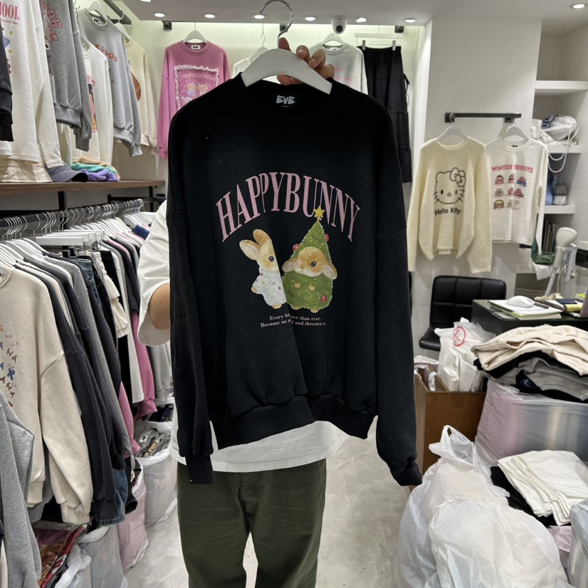 EVE東大門㊣代購女士新款時尚推薦25秋冬休閑人氣真品衛衣加絨EVE衛衣圖色3