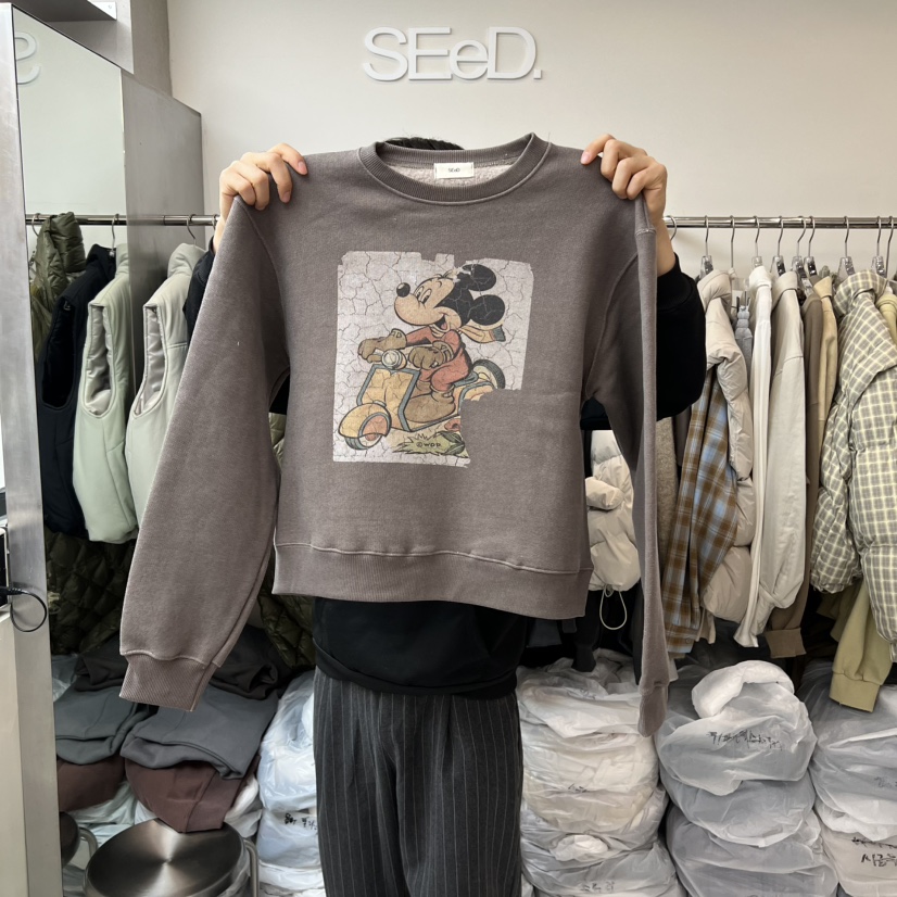 LEESEED-A韓國代購㊣女裝新款時尚熱賣25秋冬推薦衛衣加絨SEeD/LEESEED衛衣圖色1