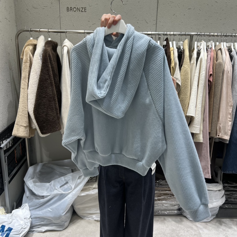 BRONZE東大門㊣直郵女裝新款休閑推薦時尚熱賣人氣衛衣加絨BRONZE衛衣