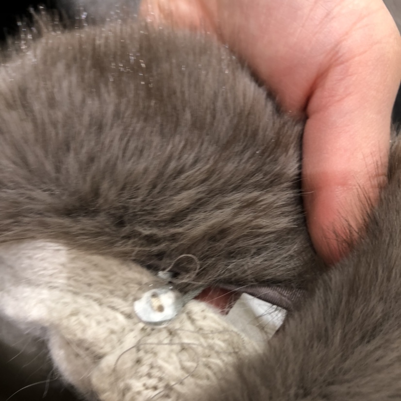 BY BOMI東大門㊣直郵女士新款推薦25秋冬職業針織衫毛皮開衫BY BOMI針織衫