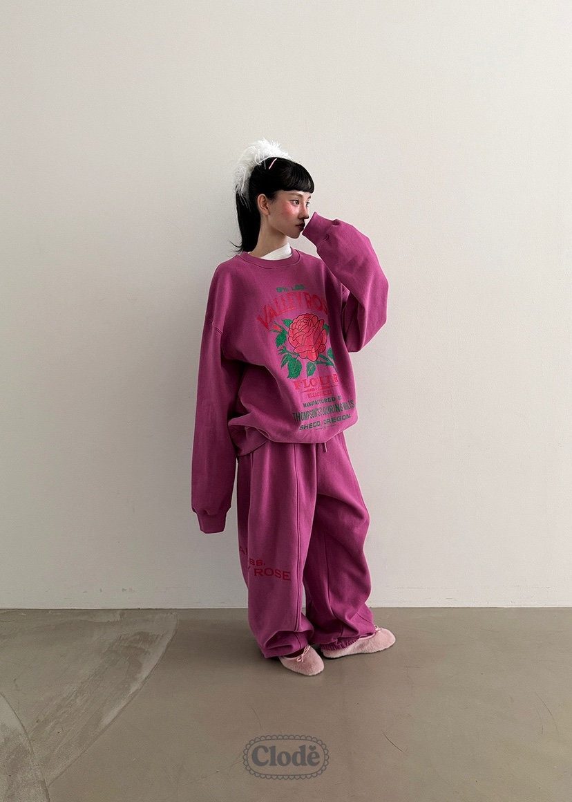 CLODE韓國代購㊣女裝新款職業推薦人氣休閑時尚熱賣25秋冬衛衣CLODE衛衣