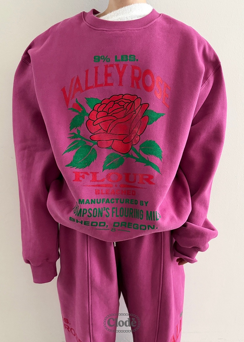 CLODE韓國代購㊣女裝新款職業推薦人氣休閑時尚熱賣25秋冬衛衣CLODE衛衣圖色1