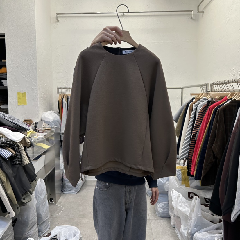 DA YLOG韓國代購㊣女裝新品職業25秋冬真品推薦人氣衛衣加絨DA YLOG衛衣圖色2