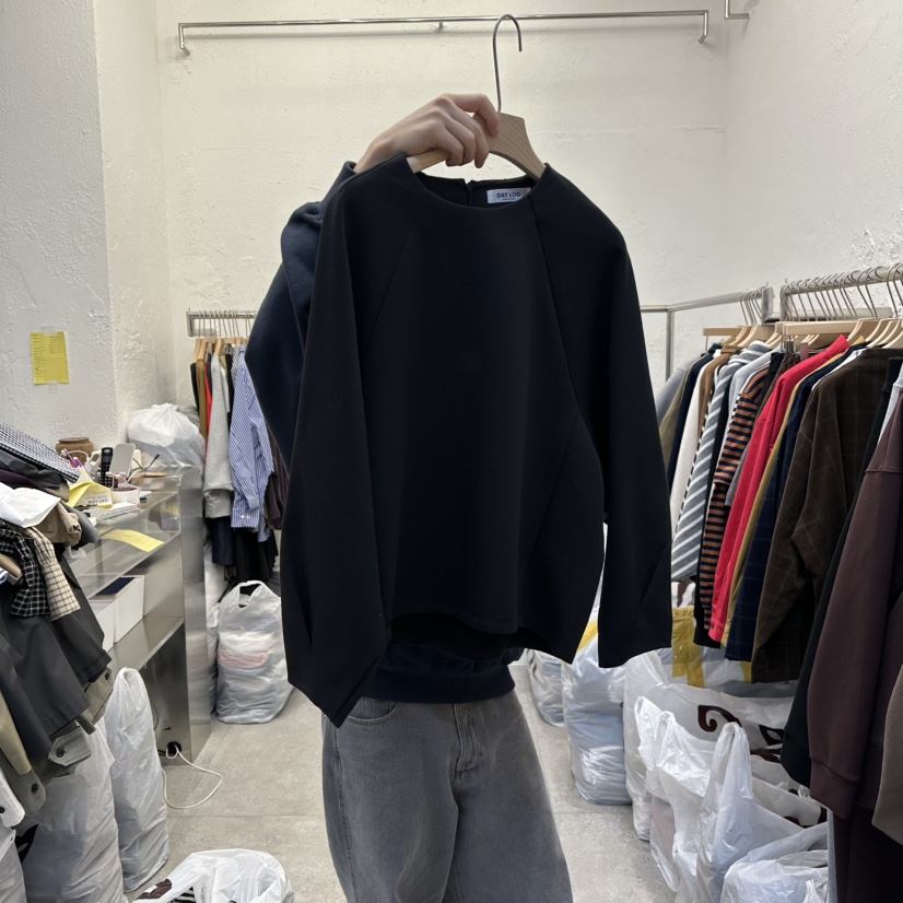 DA YLOG韓國代購㊣女裝新品職業25秋冬真品推薦人氣衛衣加絨DA YLOG衛衣圖色3