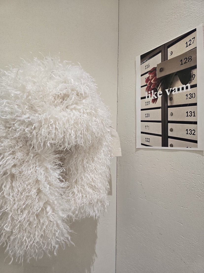 LIKEVAM韓國直郵㊣女裝新品推薦25秋冬休閑真品圍巾披肩圍巾LIKEVAM圍巾/披肩