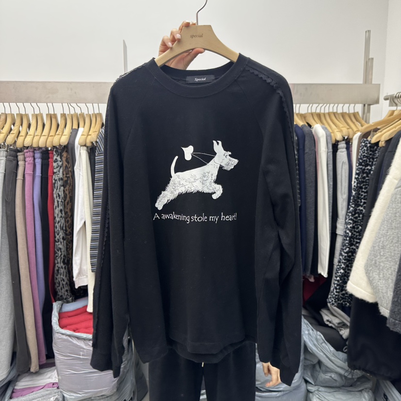 SPECIAL東大門㊣直郵女士新款25秋冬時尚熱賣推薦真品長袖T恤SPECIAL長袖T恤圖色2