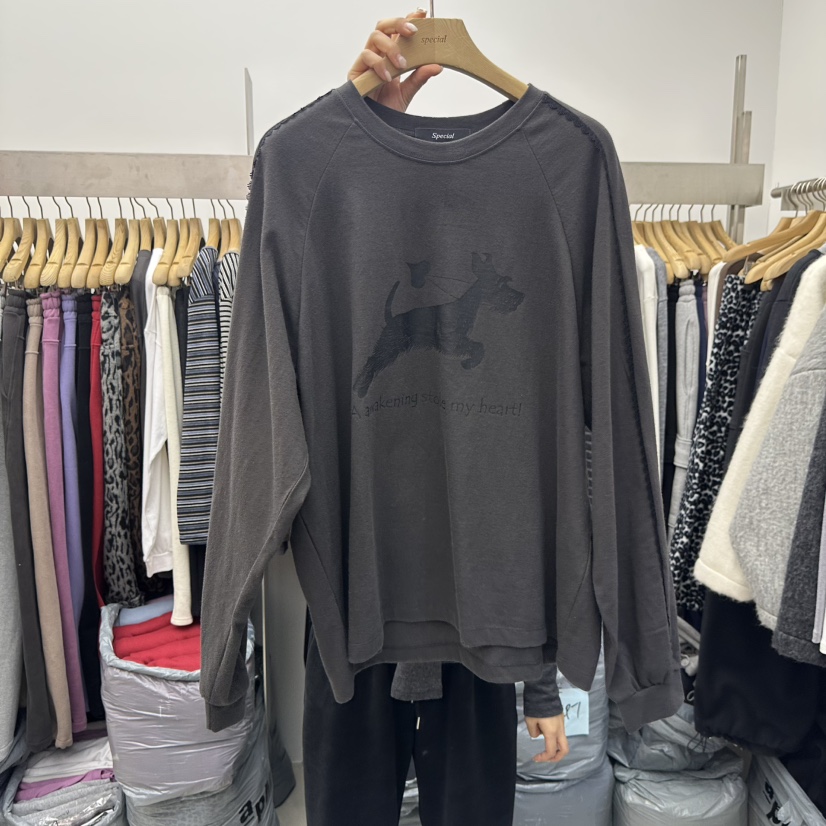 SPECIAL東大門㊣直郵女士新款25秋冬時尚熱賣推薦真品長袖T恤SPECIAL長袖T恤圖色3