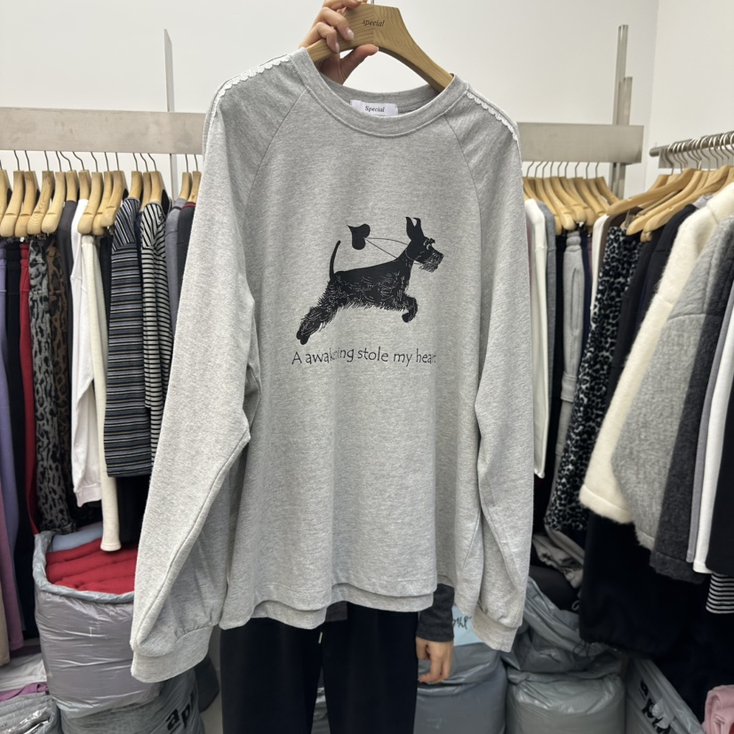 SPECIAL東大門㊣直郵女士新款25秋冬時尚熱賣推薦真品長袖T恤SPECIAL長袖T恤圖色4