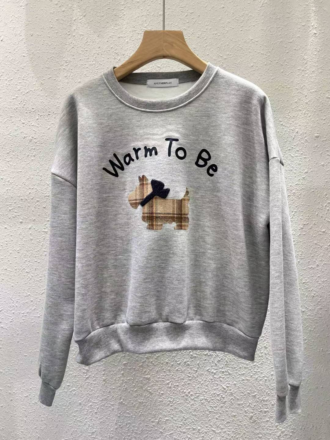 ANOTHERPLAN韓國直郵㊣女士新品25秋冬休閑推薦時尚職業衛衣ANOTHERPLAN衛衣圖色2