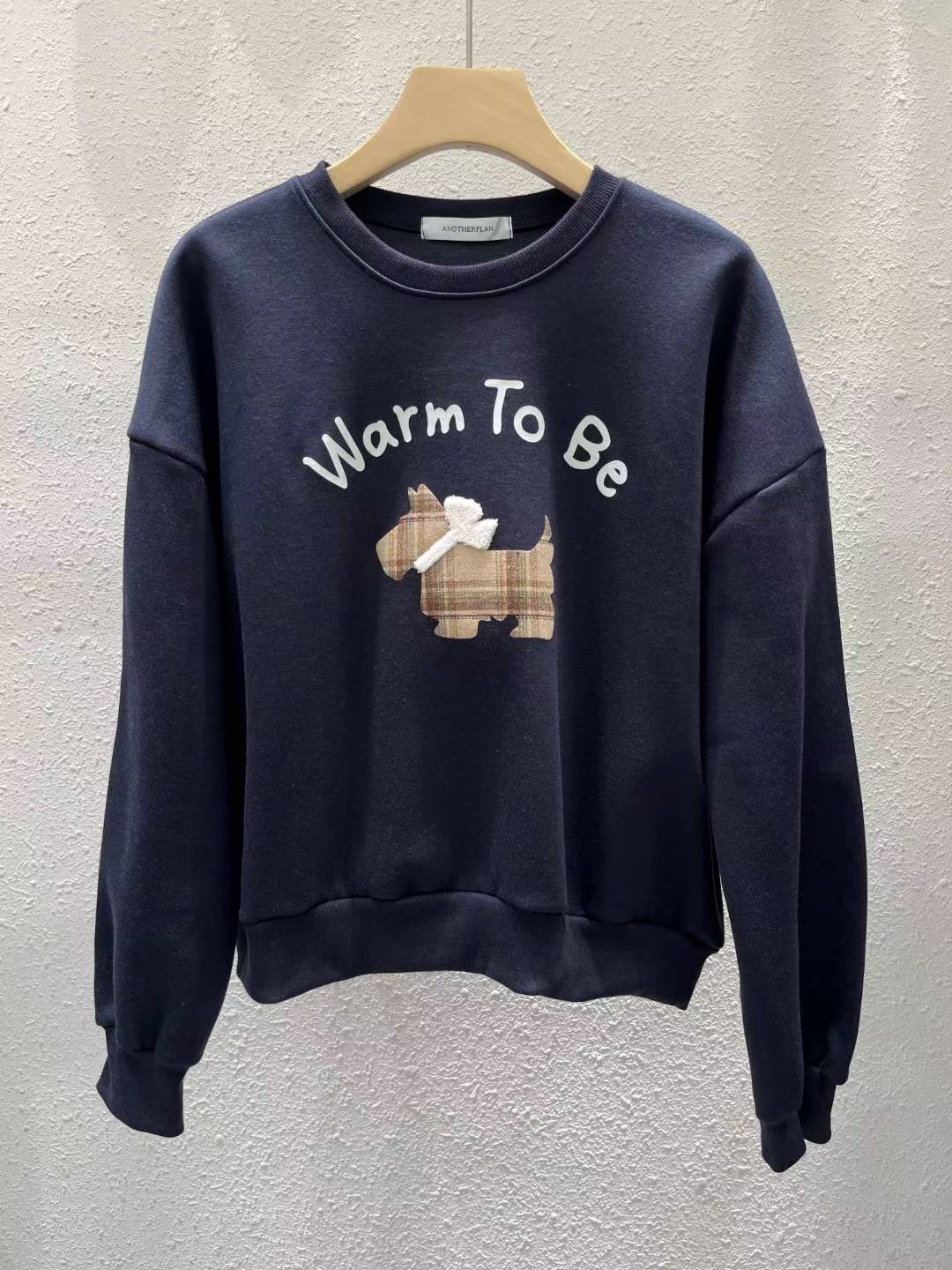 ANOTHERPLAN韓國直郵㊣女士新品25秋冬休閑推薦時尚職業衛衣ANOTHERPLAN衛衣圖色3