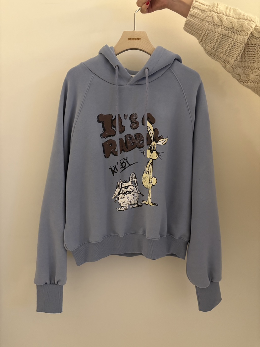 BALANCE東大門㊣直郵女裝新款休閑推薦熱賣25秋冬衛衣連帽衫加絨BALANCE衛衣圖色1