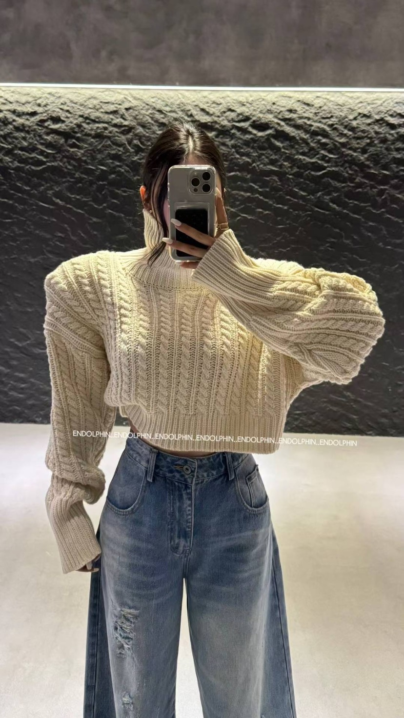 ENDOLPHIN東大門㊣代購女裝新款真品職業休閑人氣25秋冬毛衣高領ENDOLPHIN毛衣圖色2