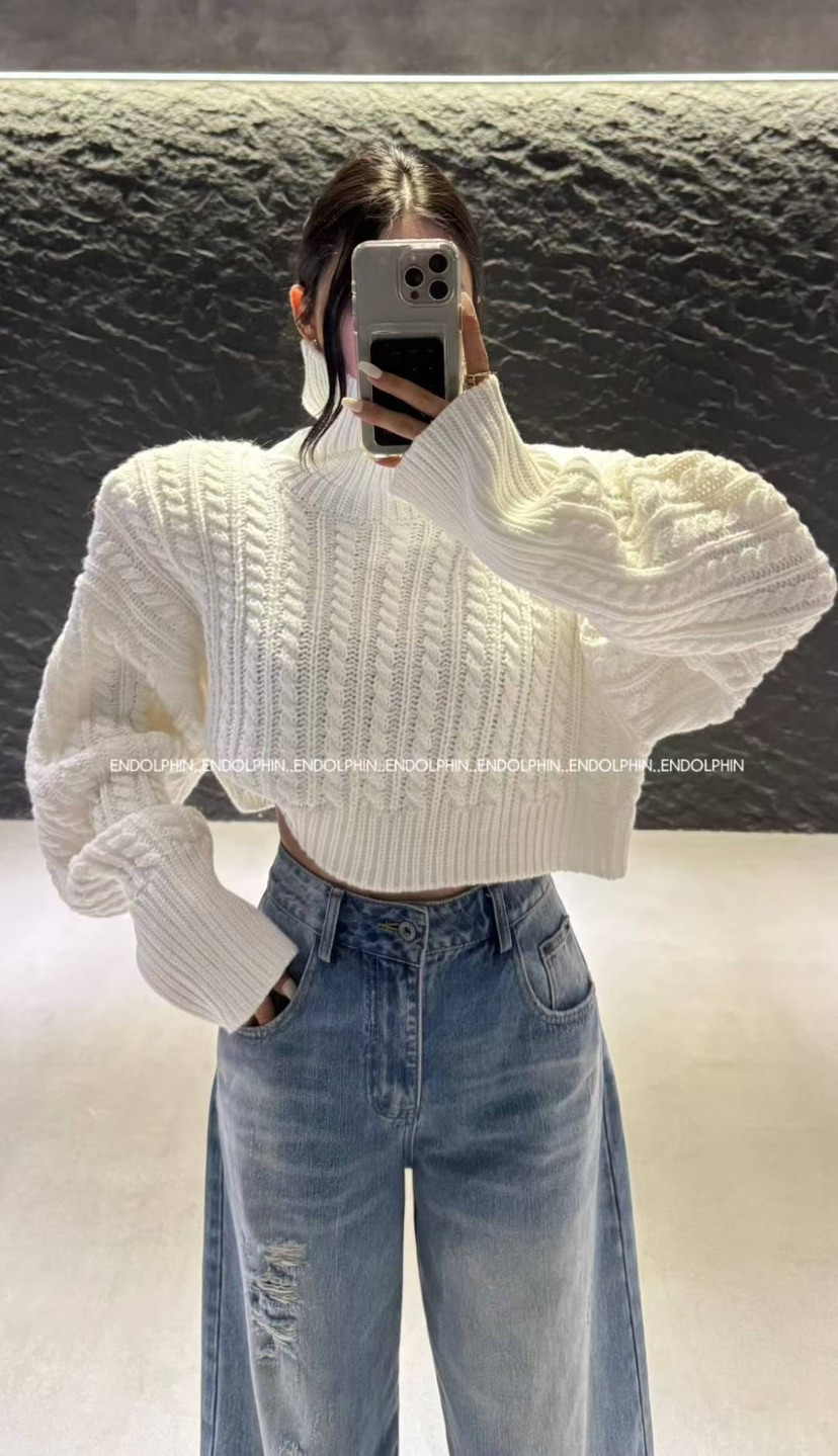 ENDOLPHIN東大門㊣代購女裝新款真品職業休閑人氣25秋冬毛衣高領ENDOLPHIN毛衣圖色3