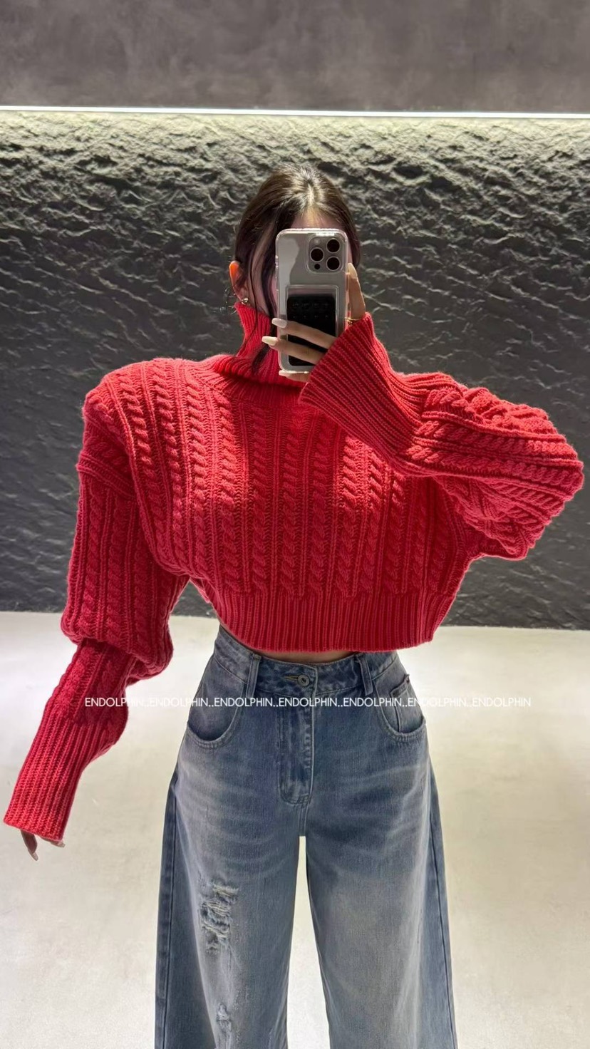 ENDOLPHIN東大門㊣代購女裝新款真品職業休閑人氣25秋冬毛衣高領ENDOLPHIN毛衣圖色4