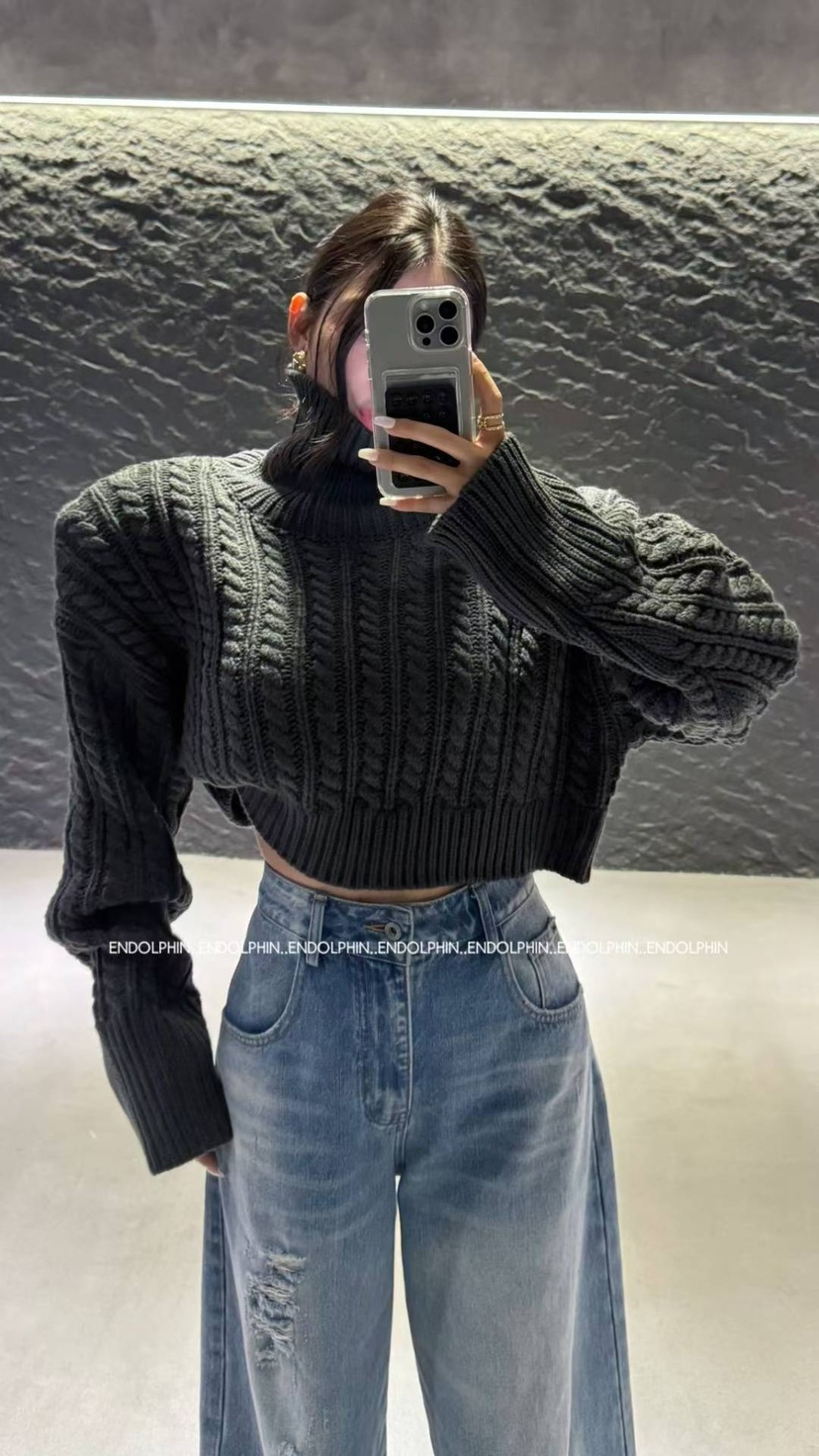 ENDOLPHIN東大門㊣代購女裝新款真品職業休閑人氣25秋冬毛衣高領ENDOLPHIN毛衣圖色5