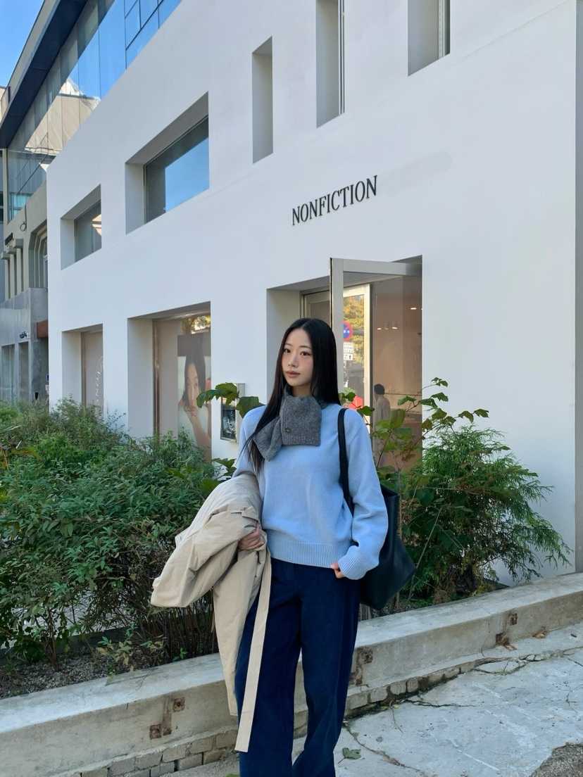 A Flan東大門㊣直郵女裝新款推薦職業25秋冬休閑針織衫V領A:FLAN EDITION針織衫