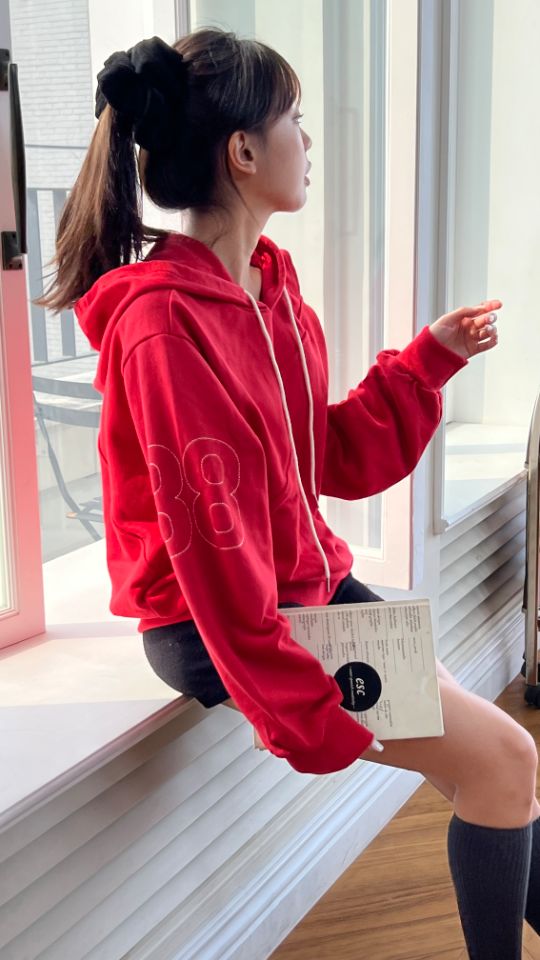 HEY/TO SEWING韓國直郵㊣女士新款休閑職業推薦熱賣衛衣刺繡BY HEY/TO SEWING衛衣