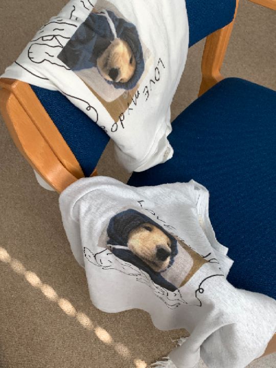 DOIT東大門㊣直郵女裝新品休閑25秋冬熱賣人氣真品職業時尚T恤DOITT恤