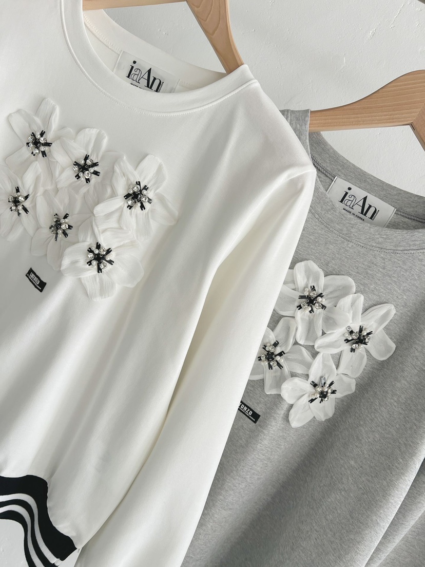 IAAN韓國代購㊣女士新款真品職業推薦熱賣人氣時尚25秋冬衛衣iaAn衛衣