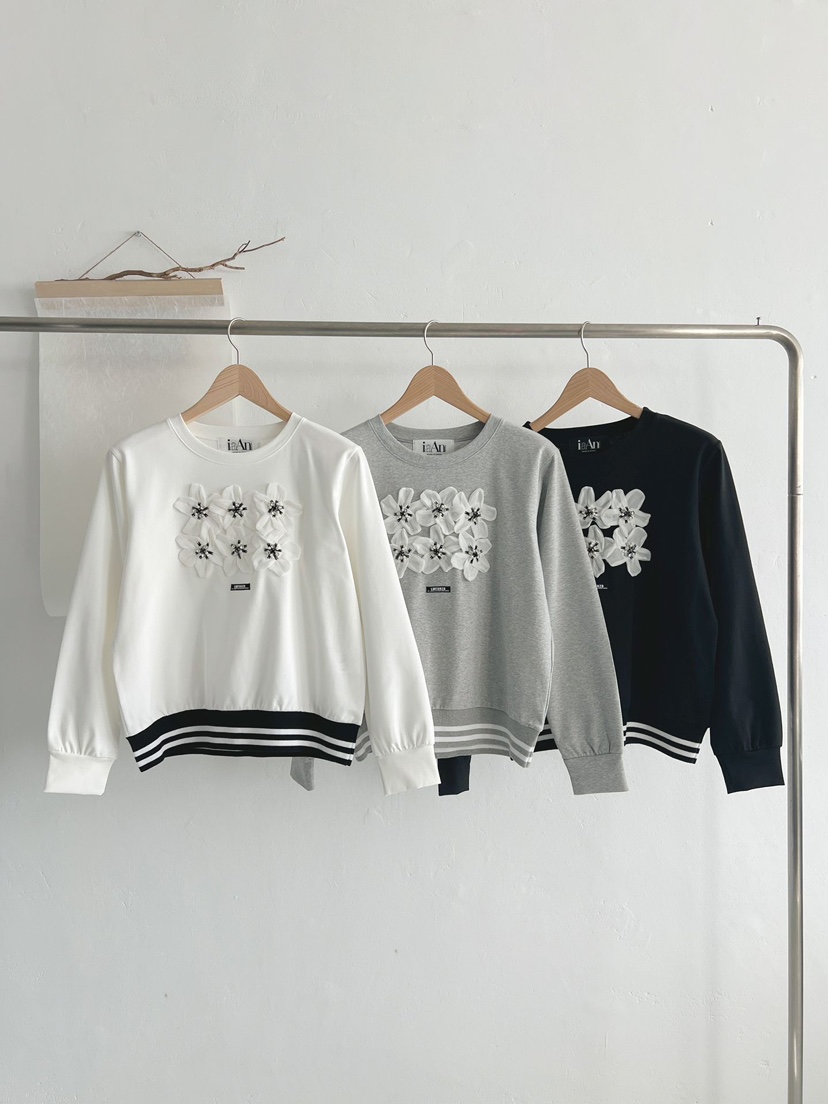 IAAN韓國代購㊣女士新款真品職業推薦熱賣人氣時尚25秋冬衛衣iaAn衛衣圖色3左三色