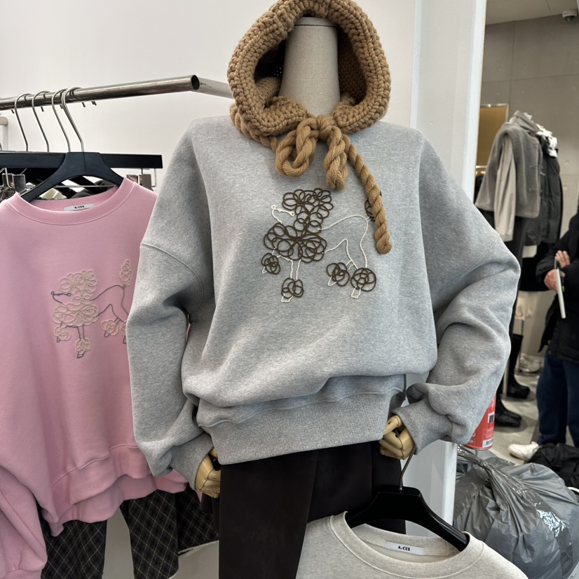 A.CES韓國直郵㊣女裝新品職業25秋冬推薦時尚熱賣衛衣加絨A.CES衛衣圖色2