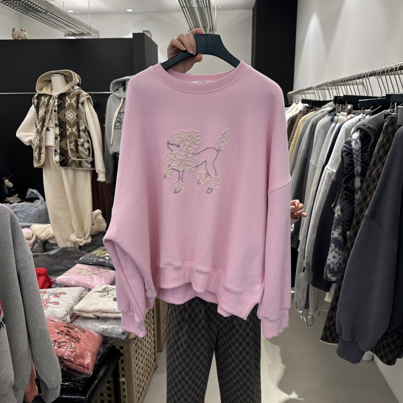 A.CES韓國直郵㊣女裝新品職業25秋冬推薦時尚熱賣衛衣加絨A.CES衛衣圖色4