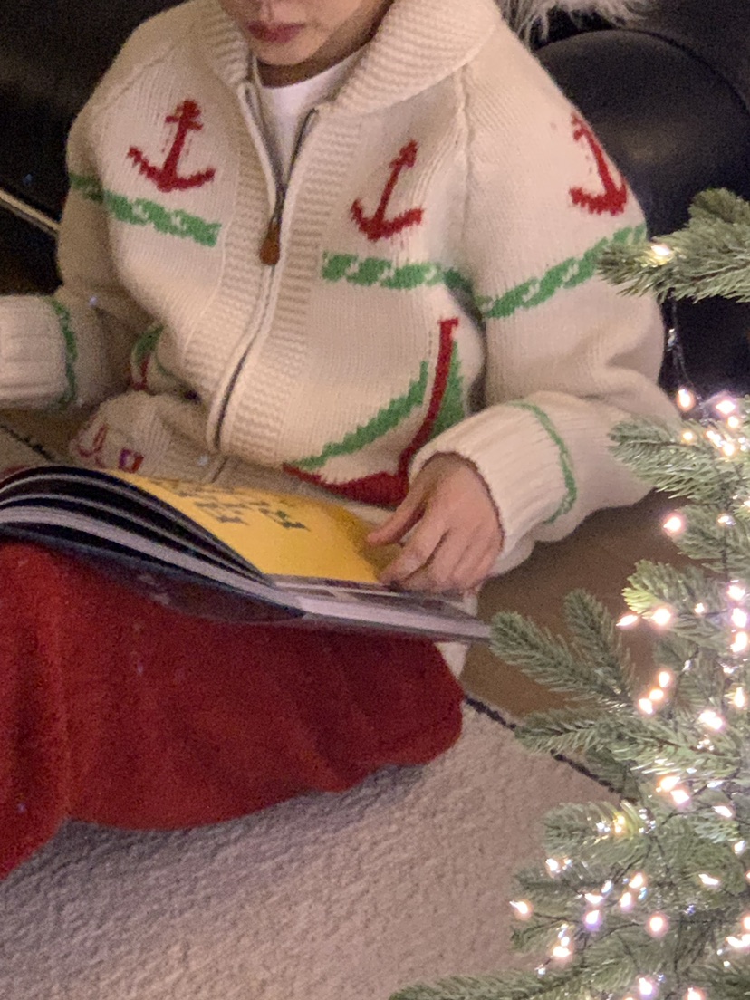 REGULARLY/PLACOR韓國代購㊣女裝新款職業休閑人氣25秋冬針織衫REGULARLY/PLACOR針織衫