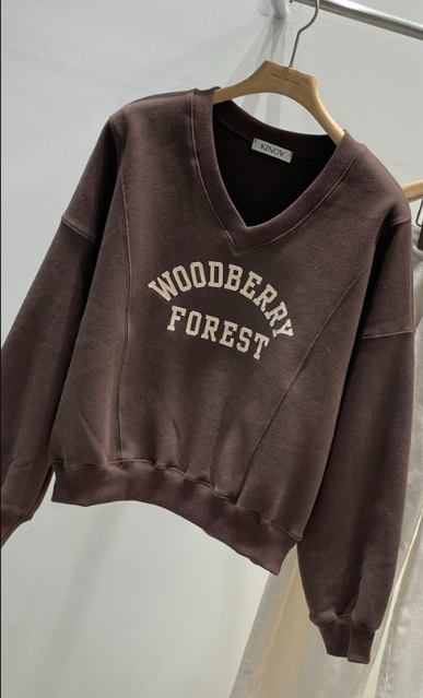 KINOA東大門㊣代購女士新品推薦休閑25秋冬真品職業衛衣V領KINOA衛衣圖色3