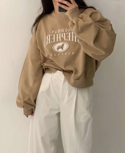 PASTELDEER韓國代購㊣女士新款職業時尚人氣休閑25秋冬衛衣PASTELDEER衛衣圖色4