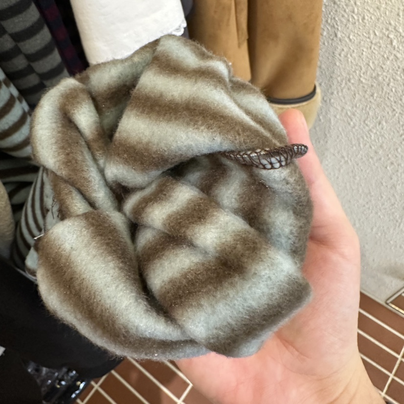 CHOI-L東大門㊣直郵女裝新品人氣時尚真品熱賣25秋冬休閑褲羊毛CHOI休閑褲