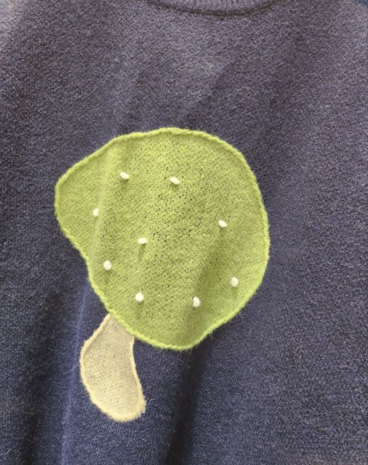 BLING BLING-S韓國代購㊣女士新品推薦時尚25秋冬休閑針織衫BLING BLING-S針織衫