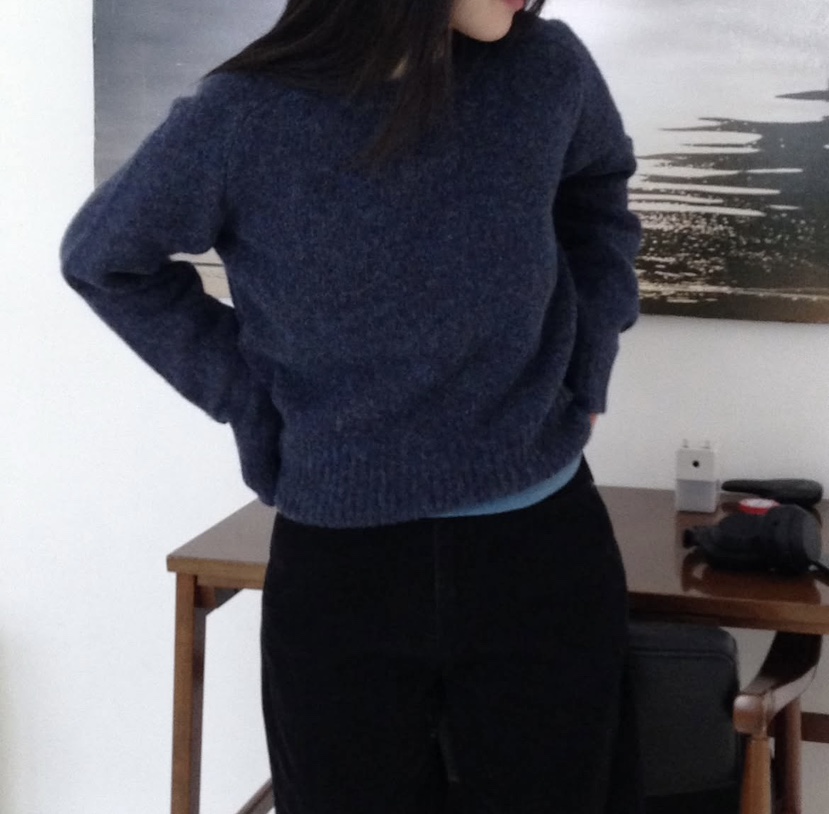 DARLUZ_MI韓國直郵㊣女士新款人氣休閑推薦熱賣25秋冬針織衫DARLUZ_MI針織衫