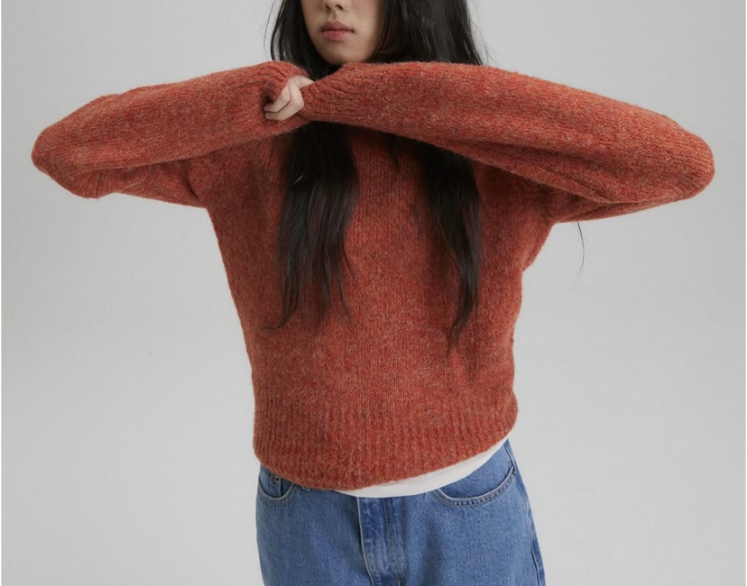 DARLUZ_MI韓國直郵㊣女士新款人氣休閑推薦熱賣25秋冬針織衫DARLUZ_MI針織衫圖色2