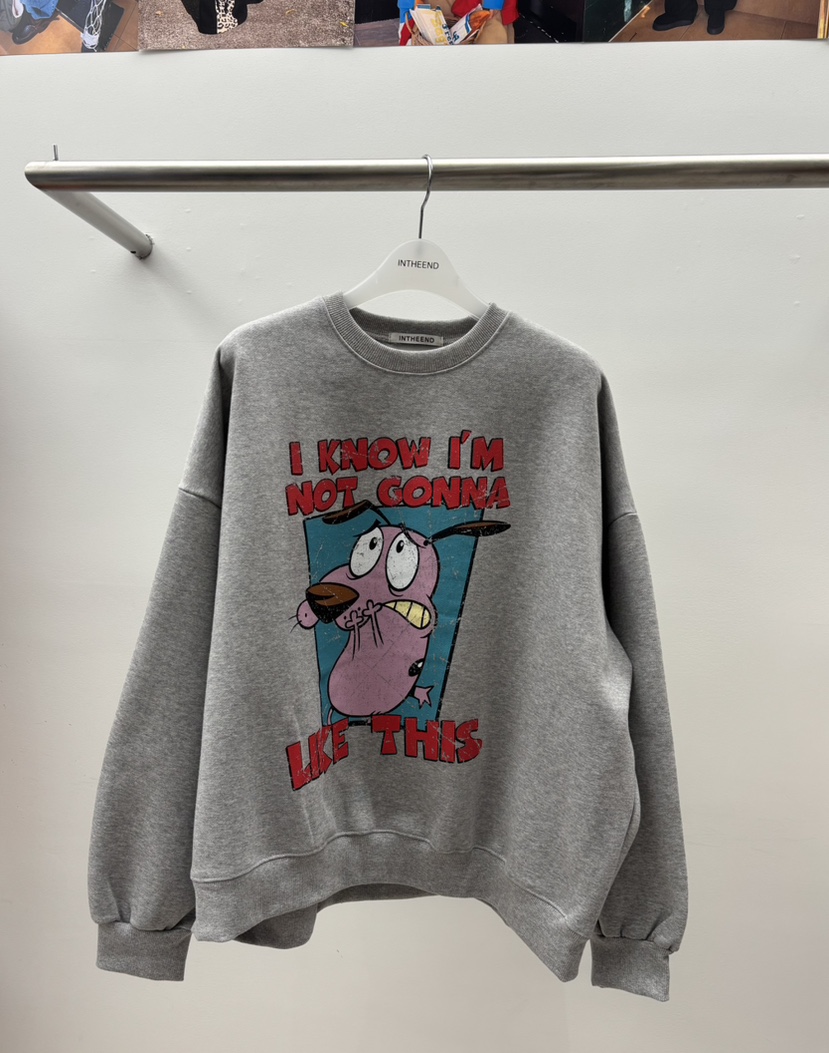 INTHEEND韓國直郵㊣女士新款人氣職業推薦真品熱賣25秋冬衛衣INTHEEND衛衣圖色3