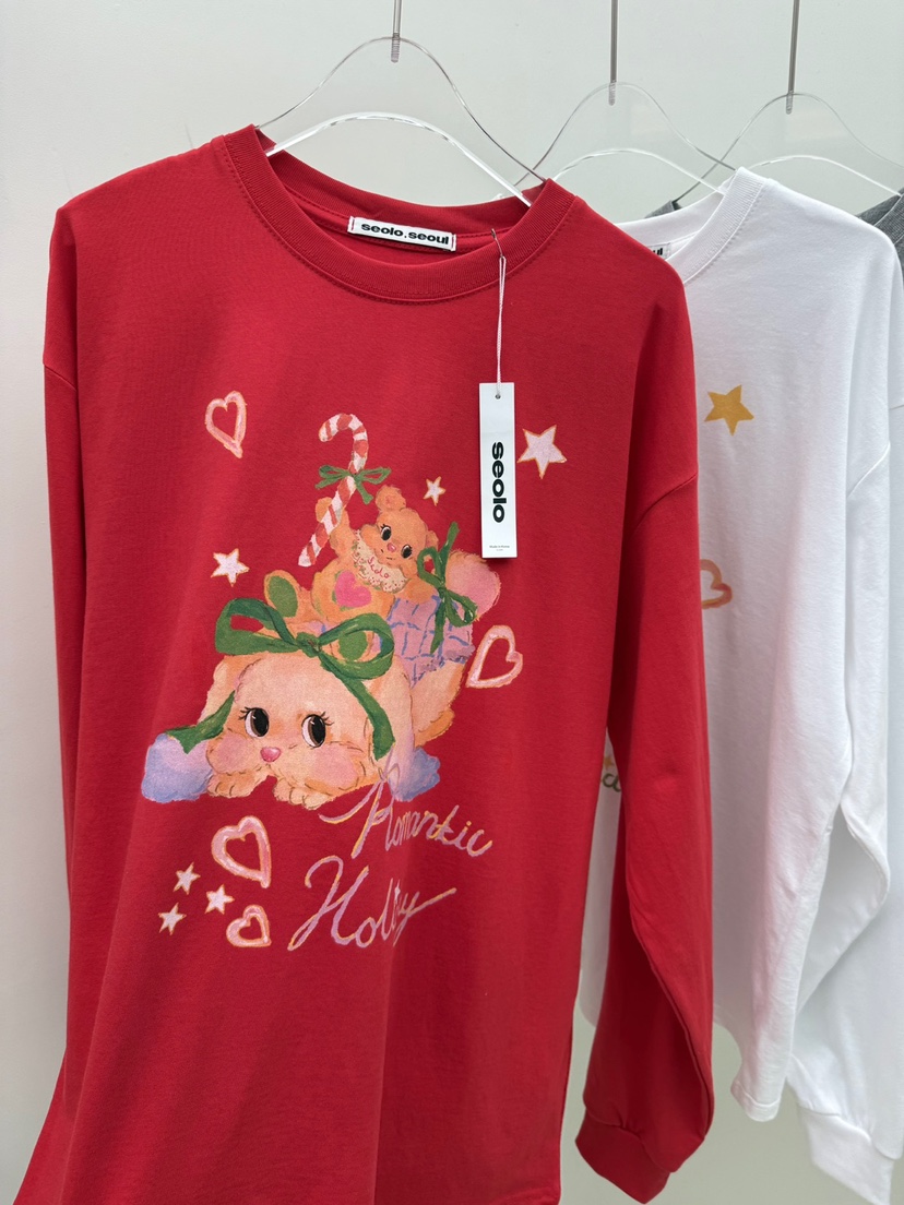 SEOLO韓國直郵㊣女裝新款25秋冬時尚真品熱賣人氣推薦長袖T恤Seolo seoul長袖T恤