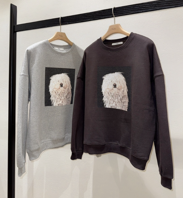 NDE東大門㊣直郵女士新款職業熱賣時尚25秋冬休閑推薦真品衛衣NDE衛衣