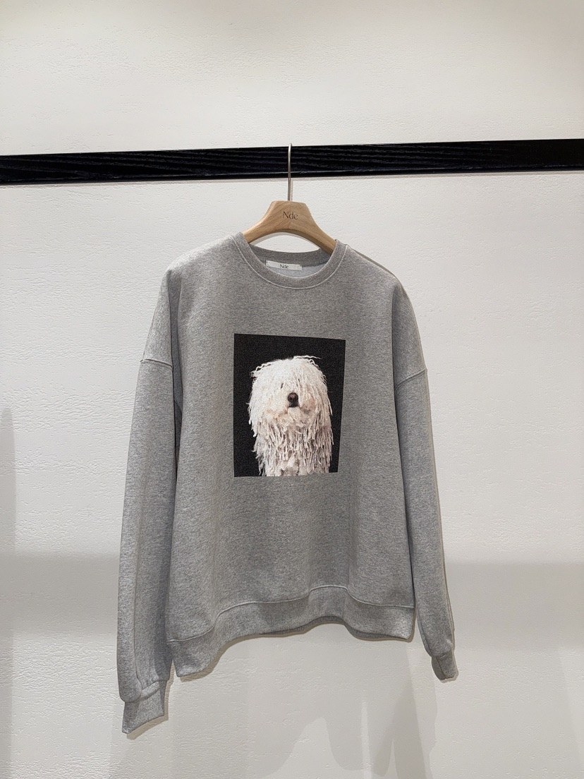 NDE東大門㊣直郵女士新款職業熱賣時尚25秋冬休閑推薦真品衛衣NDE衛衣