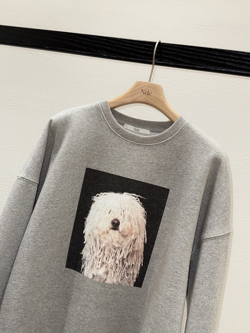 NDE東大門㊣直郵女士新款職業熱賣時尚25秋冬休閑推薦真品衛衣NDE衛衣