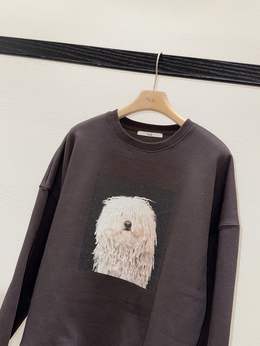 NDE東大門㊣直郵女士新款職業熱賣時尚25秋冬休閑推薦真品衛衣NDE衛衣