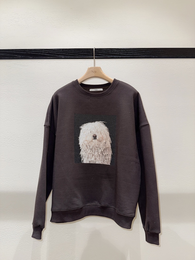 NDE東大門㊣直郵女士新款職業熱賣時尚25秋冬休閑推薦真品衛衣NDE衛衣圖色2