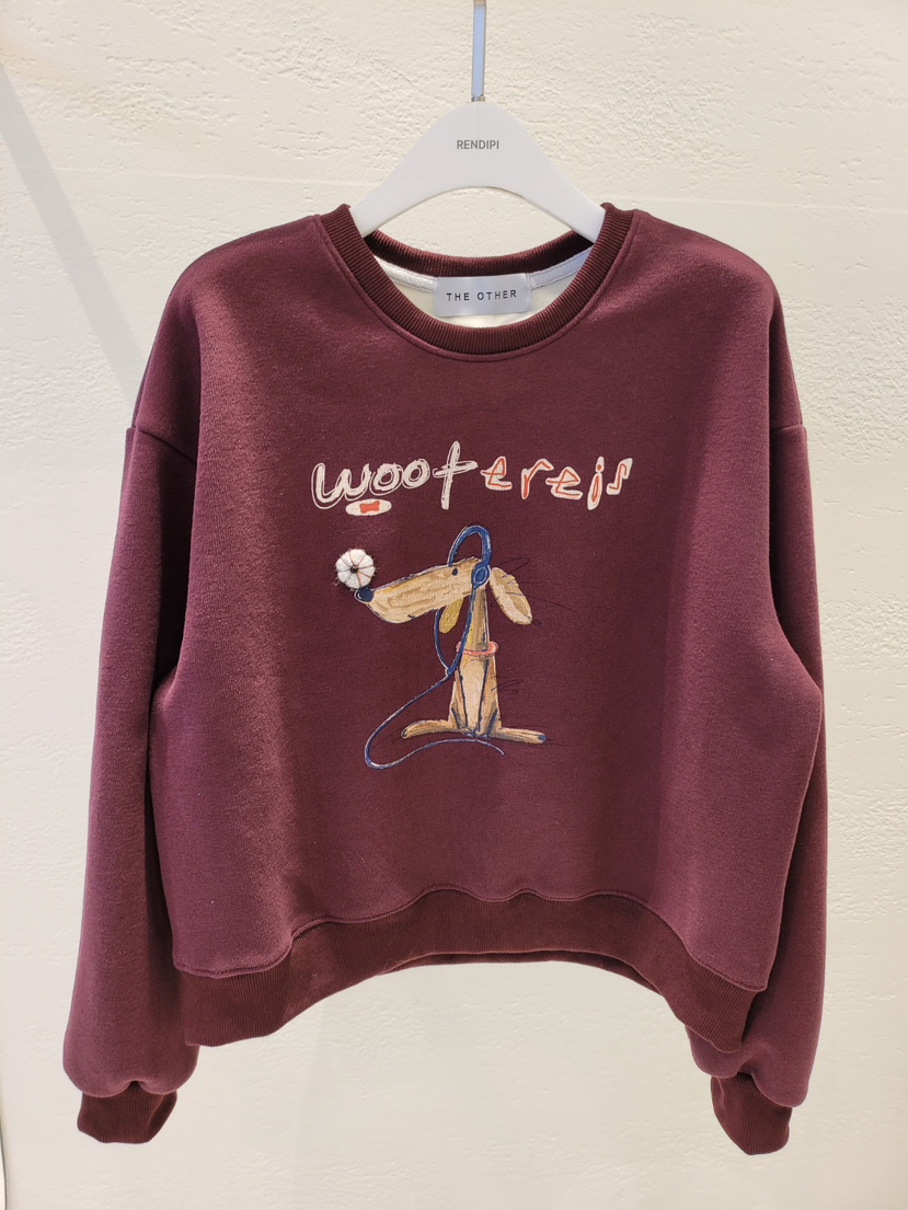 THE OTHER東大門㊣代購女裝新款職業時尚25秋冬衛衣加絨羊毛THE OTHER衛衣圖色2