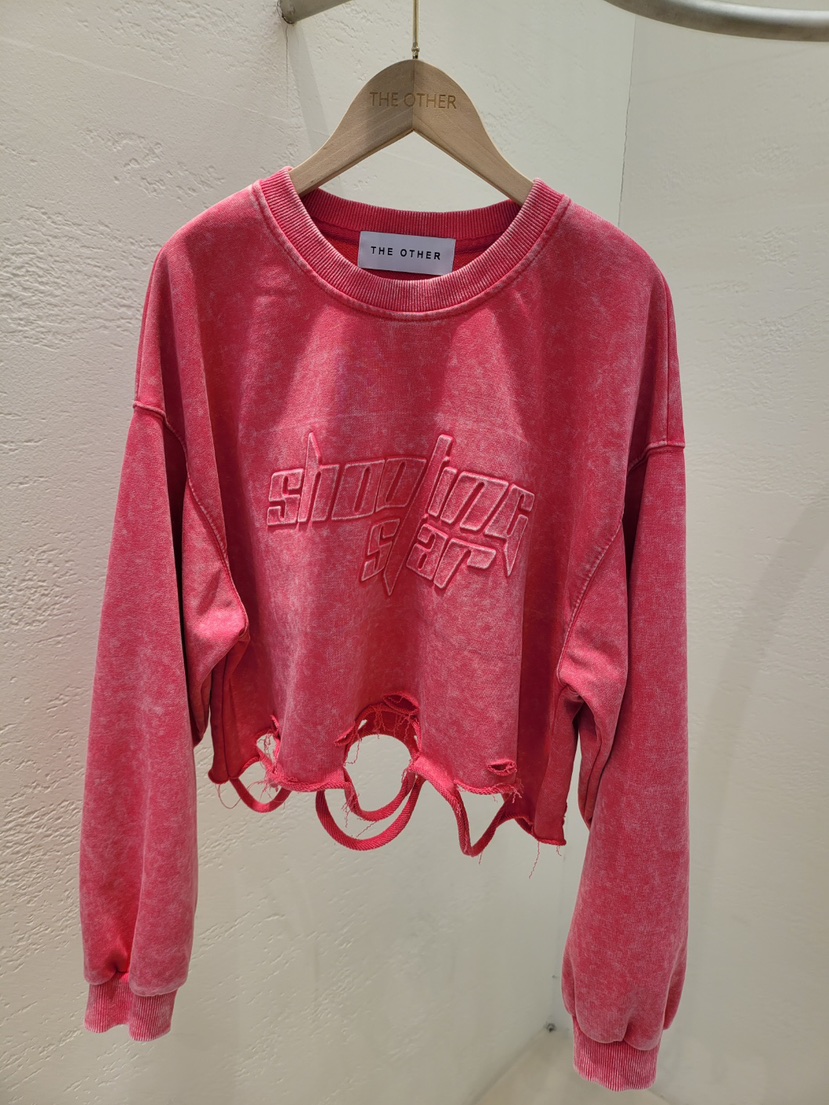 THE OTHER韓國代購㊣女裝新款25秋冬熱賣職業時尚休閑衛衣THE OTHER衛衣圖色3