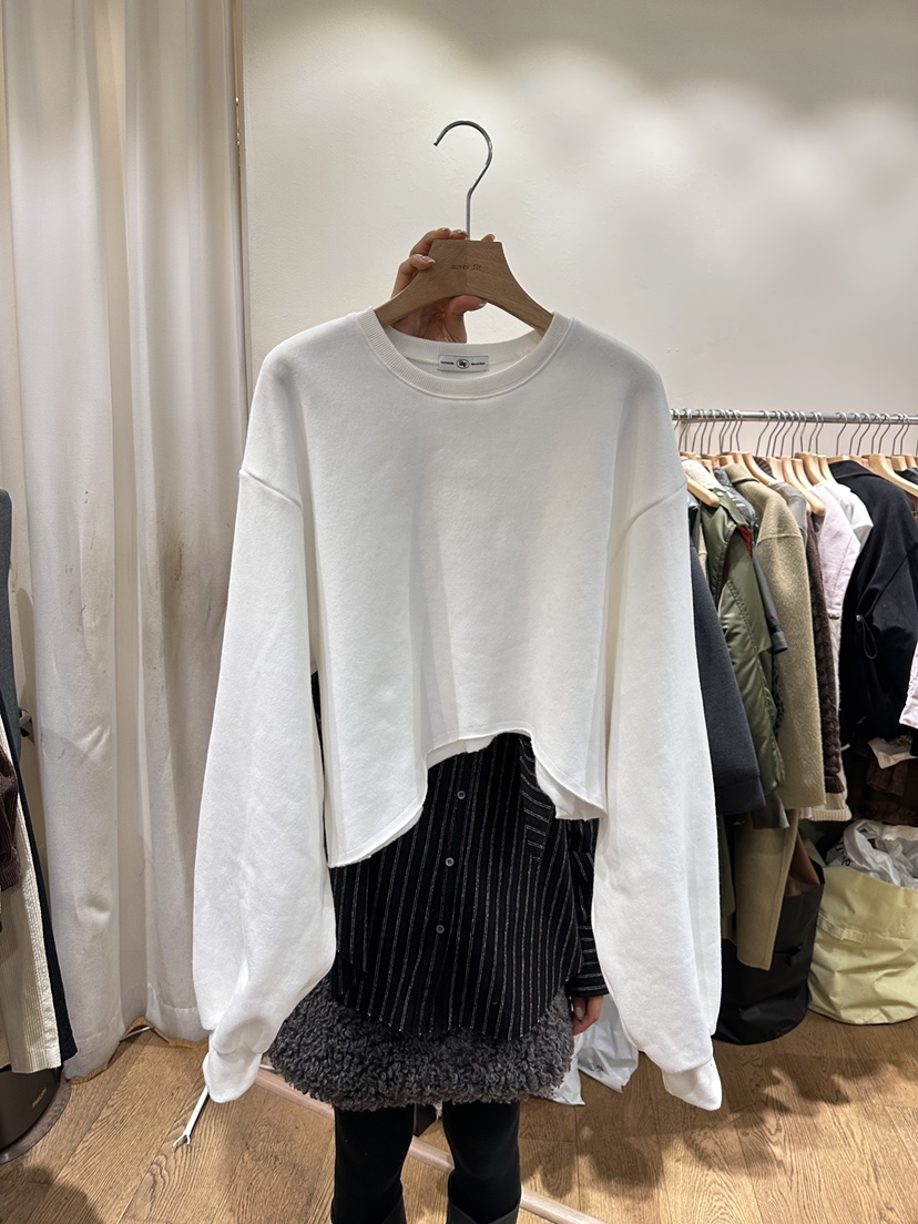 AUVERFIT韓國直郵㊣女士新品人氣推薦25秋冬真品熱賣職業衛衣AUVERFIT衛衣圖色2