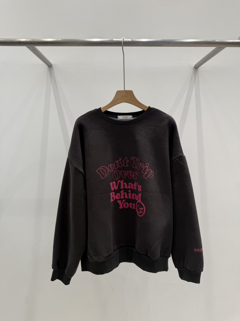 PLUM-q韓國代購㊣女士新款休閑人氣職業時尚真品推薦25秋冬衛衣PLUM衛衣圖色3