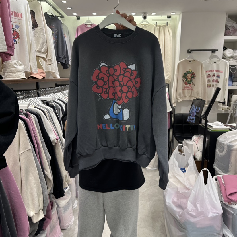 EVE東大門㊣直郵女士新品人氣推薦真品休閑時尚25秋冬衛衣加絨EVE衛衣圖色3