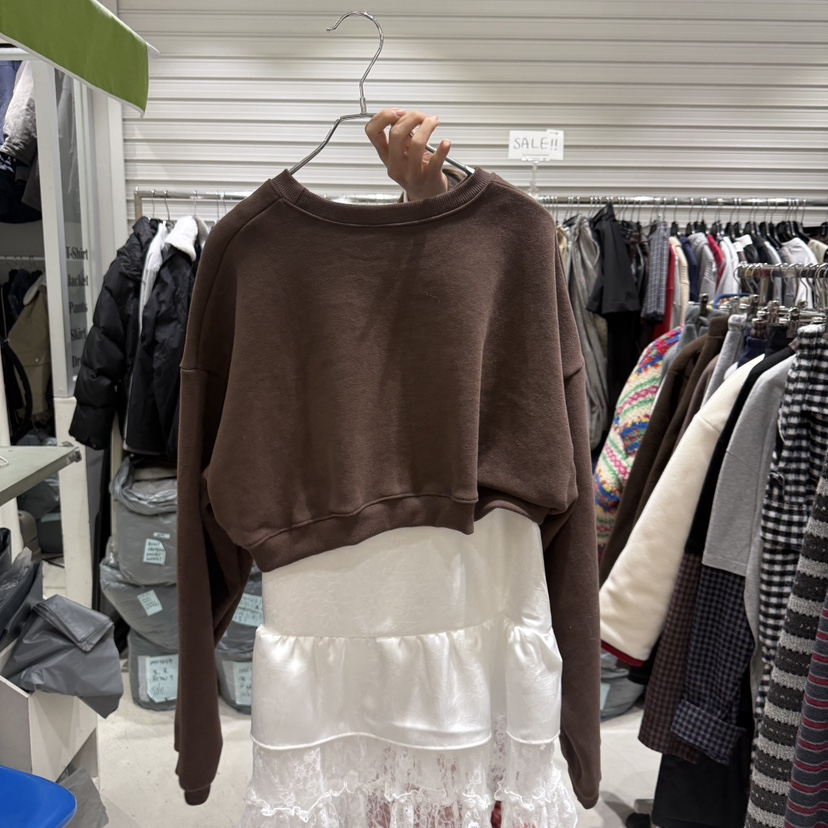 BRICKLANE韓國代購㊣女裝新品職業衛衣不含內搭加絨羊毛短款BRICKLANE衛衣